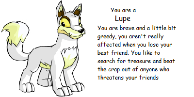 What Neopet Are You?