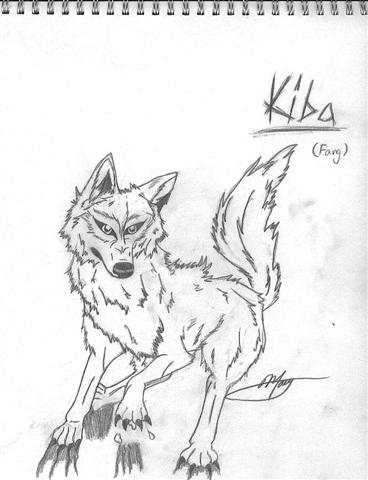 Kiba(Fang)