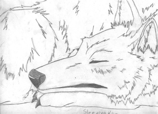 Kiba Sleeping^^