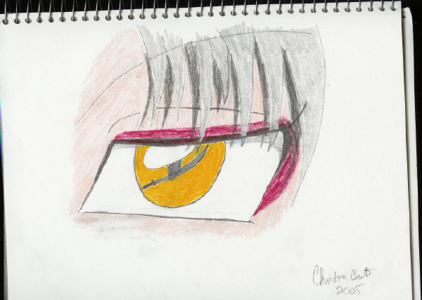 Sesshomaru's Eye