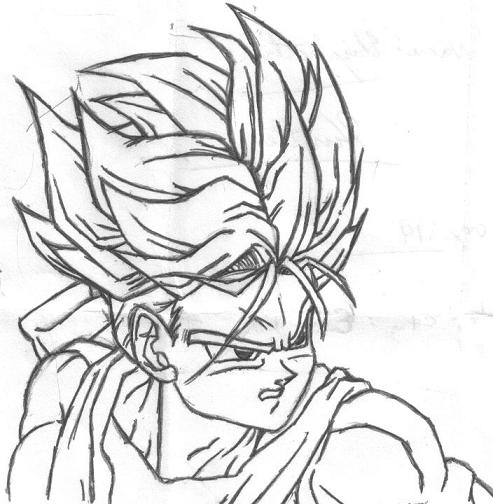 Trunks