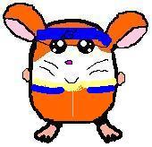 Hamtaro/Naruto