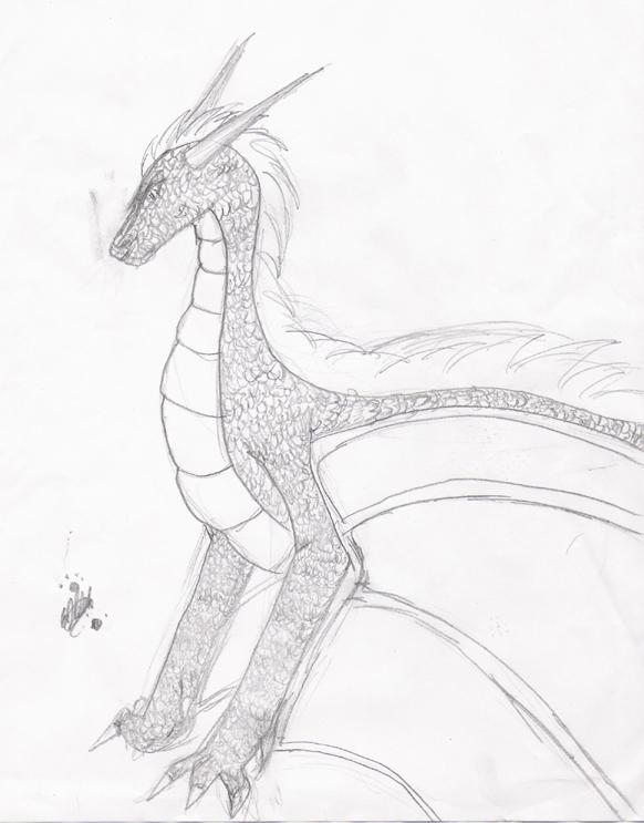 Dragon! O.o;