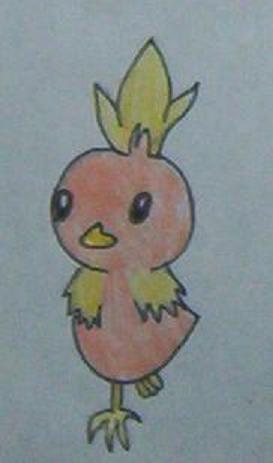 Torchic