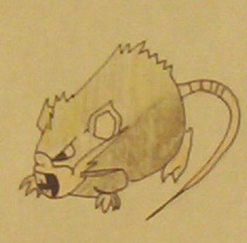 Raticate