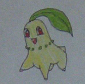 Chikorita