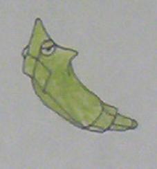 Metapod