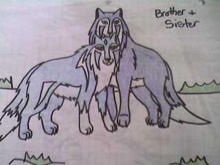 Brother And Sister Wolves