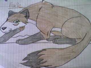 Brown Fox