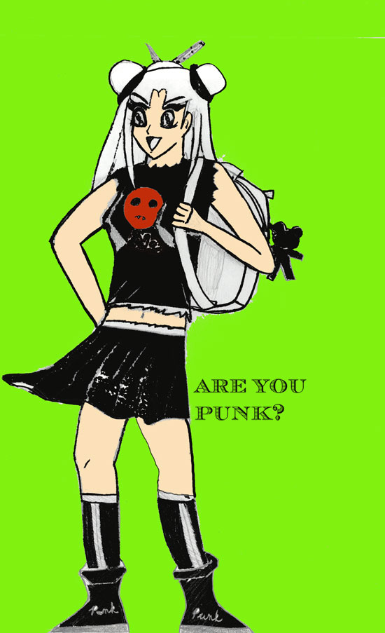 Are You Punk?