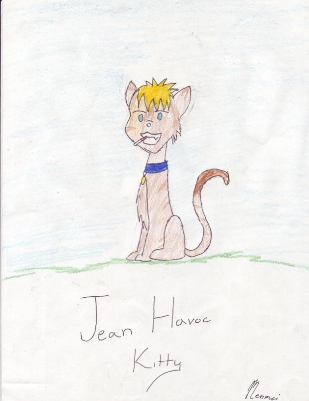 Jean Havoc(he's So Adorable)