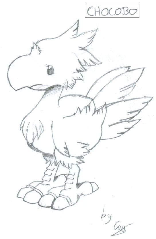 Chocobo!!!!