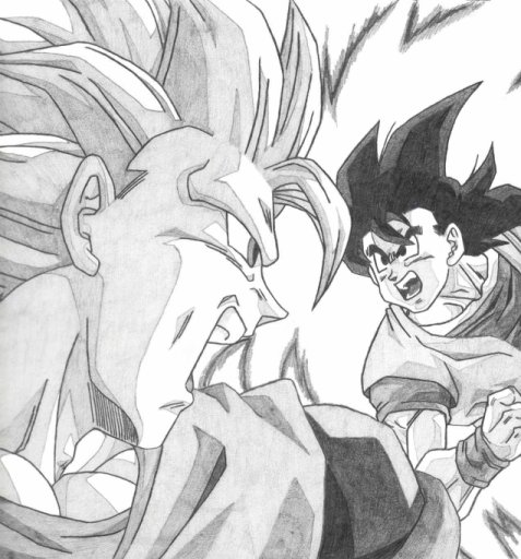 Goku Ssj3 & Normal Goku