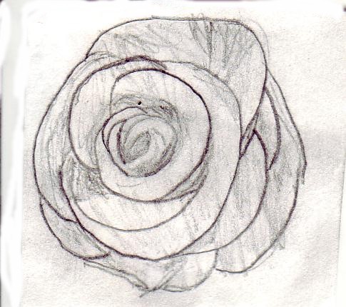 A Simple Flower