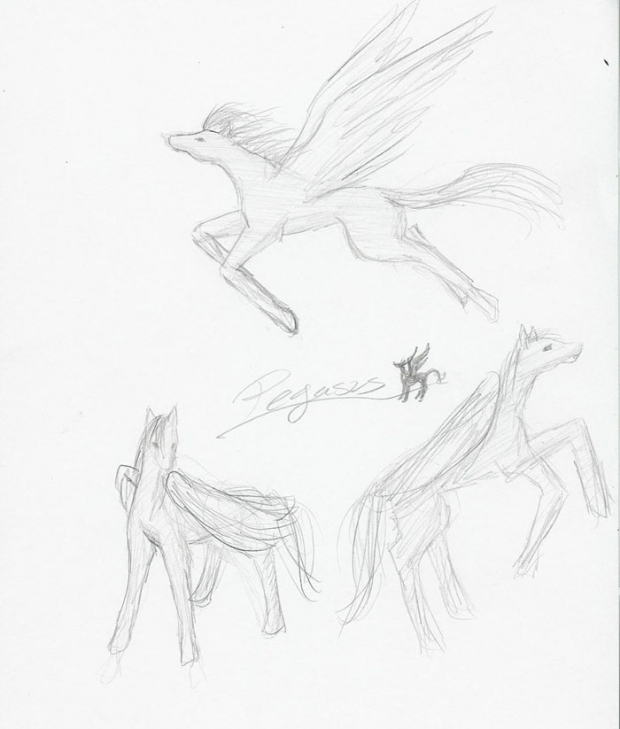 Random Sketch Of A Pegasus