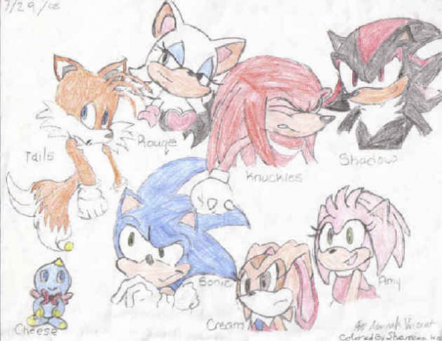 Sonic X Gang