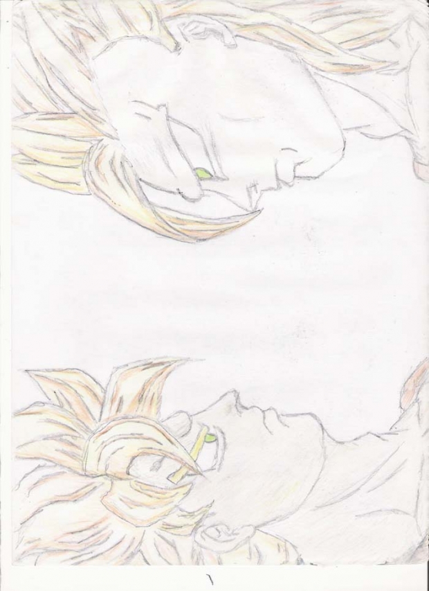 Goku Ss2/3