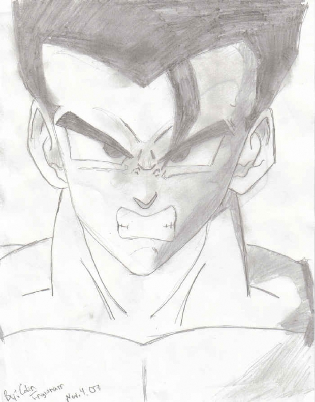 A Whole New Gohan