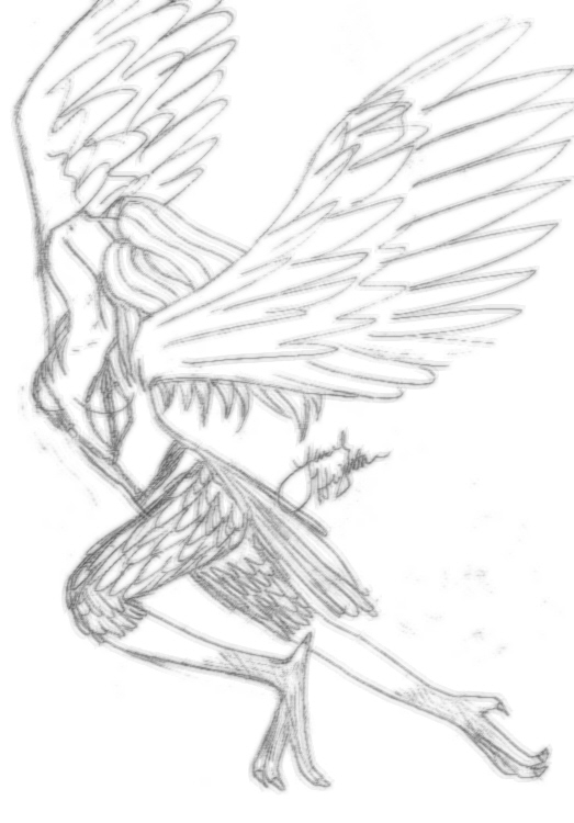 Harpy