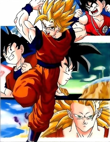 Goku From Kid to Adult