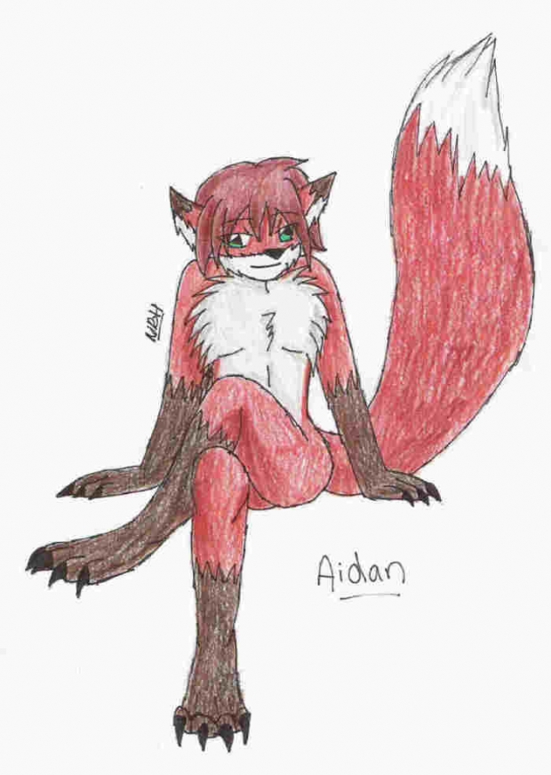 Aidan