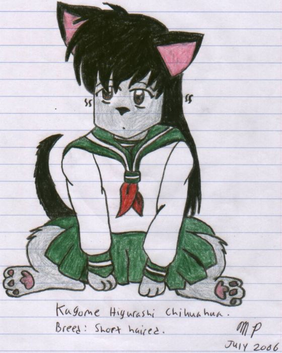 Kagome Chihuahua