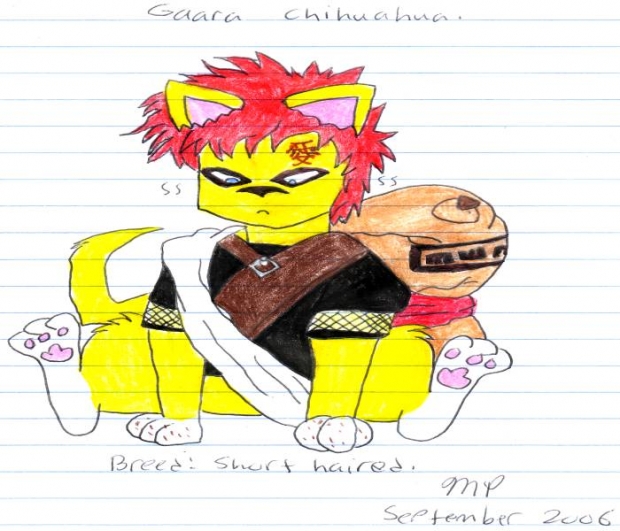 Gaara Chihuahua