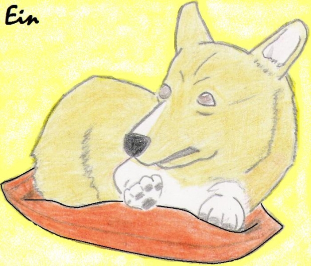 Ein