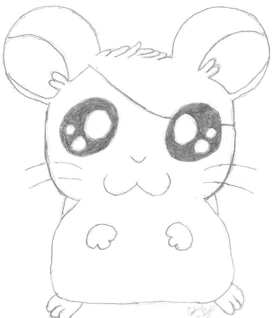 Hamtaro