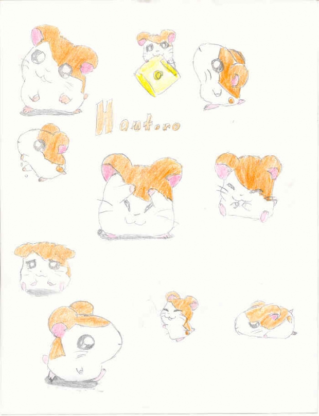 Hamtaro