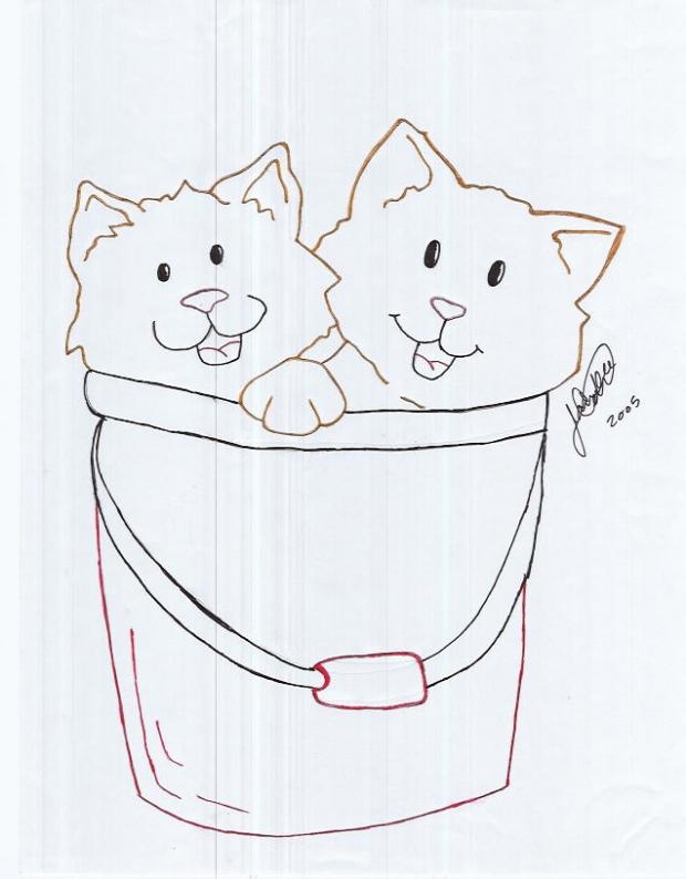 Cats In A Bucket