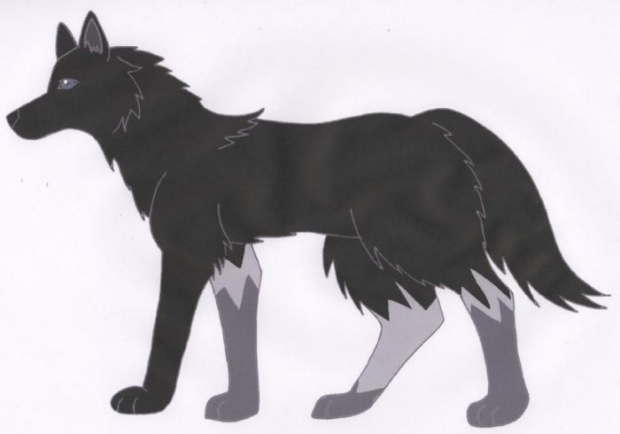 My Wolf Form- Takara