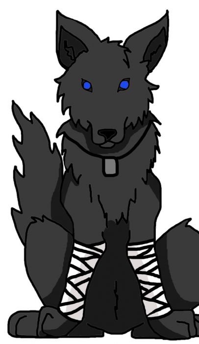 My Wolf Form