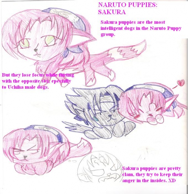 Naruto Puppies: Sakura