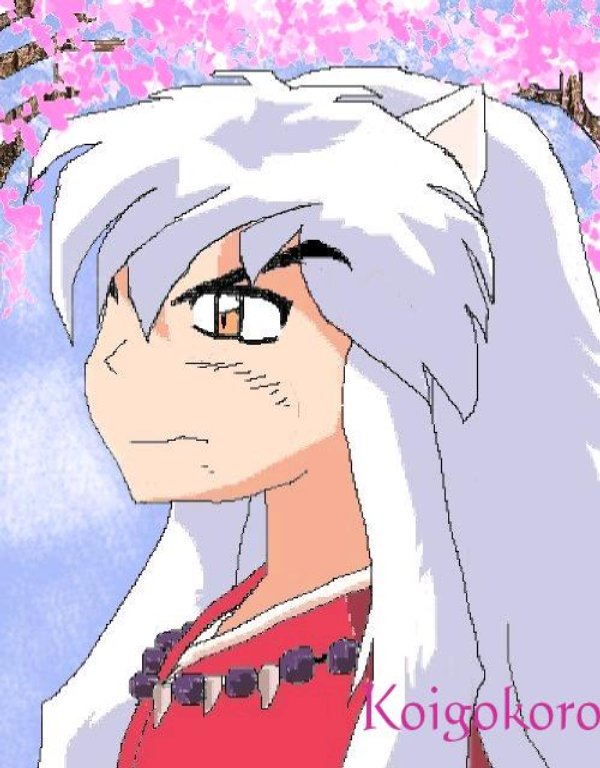 Inuyasha And The Cherry Blossoms