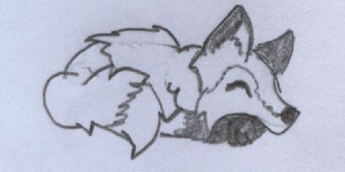 Chiba Fox Takin' A Nap