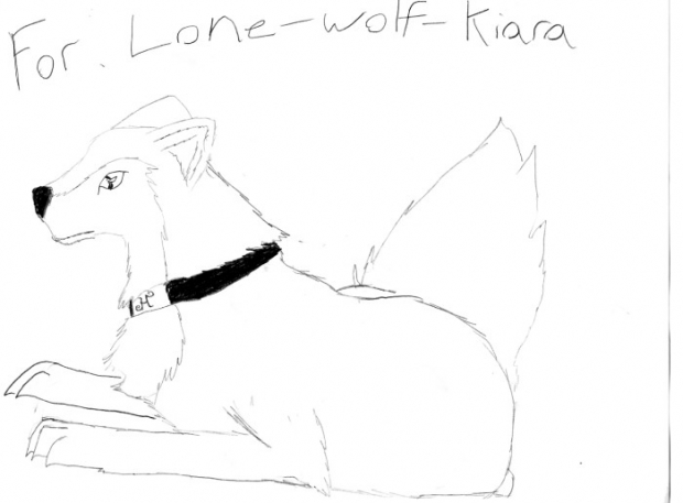 4 Lone-wolf-kiara
