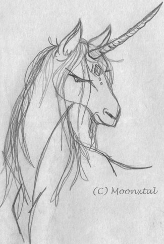 Unicorn Sketch