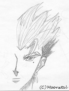 My 1st Vash