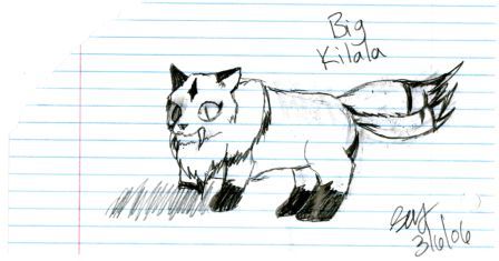 Big Kitty Kilala