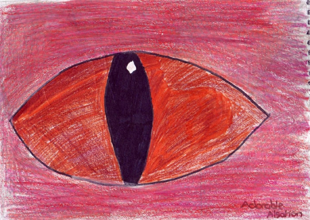 Eye