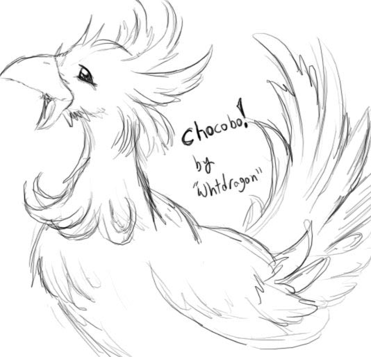 Chocobo!