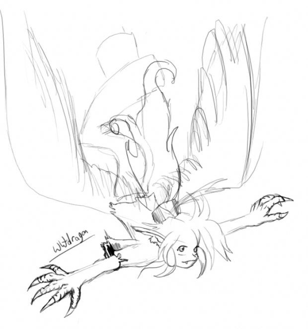 Harpie Dive-sketch