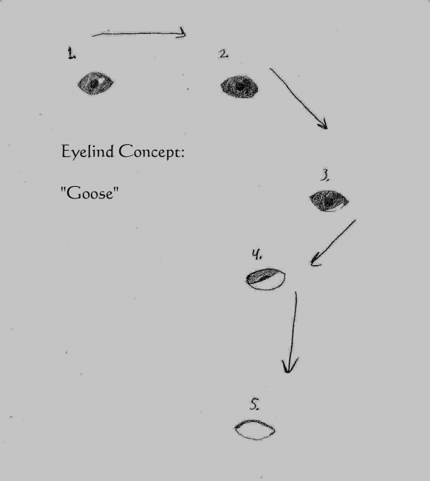 Eyelid Concept