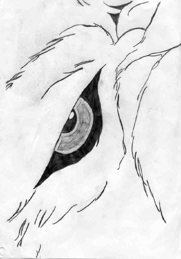 Kiba's Eye