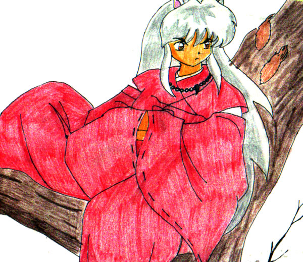 Inuyasha On A Tree