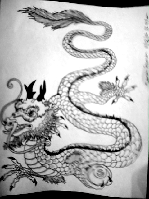 Chinese Dragon With Egg