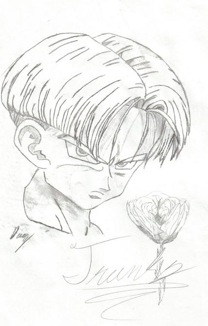 Trunks