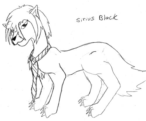 Wolfy Sirius Black