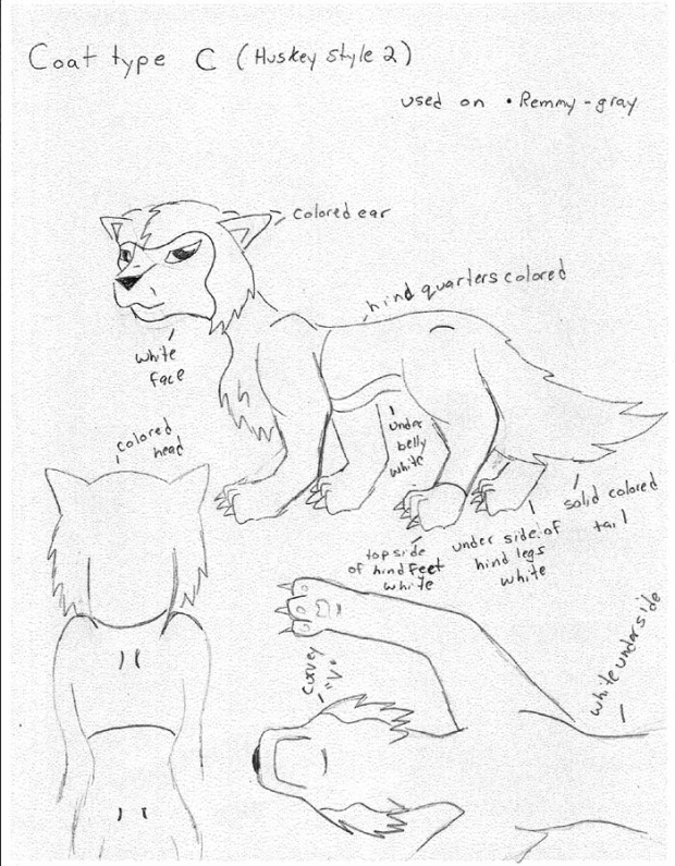 Wolfy Coat Guide-type C